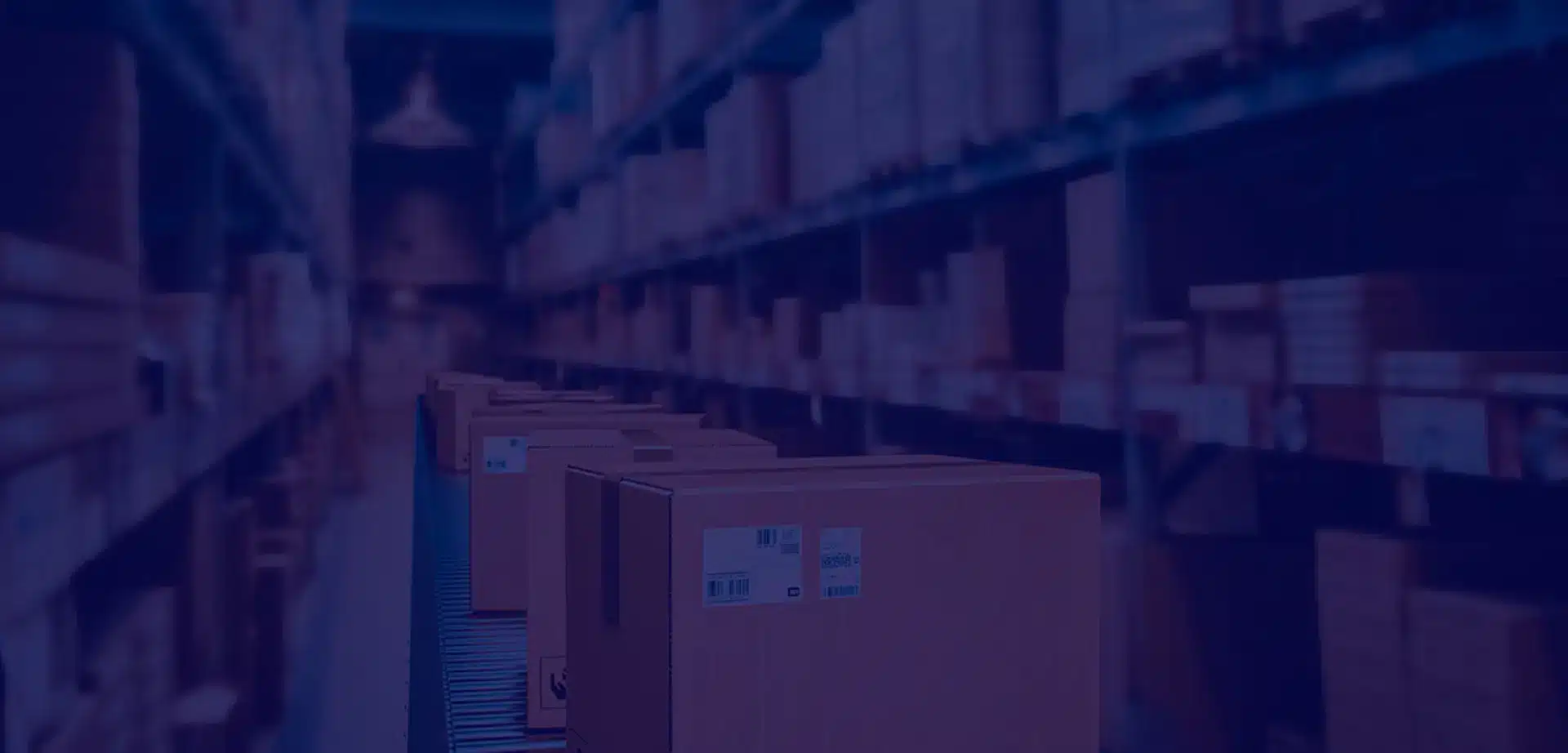 Warehouse Automation: How Cargo Spectre Elevates Efficiency